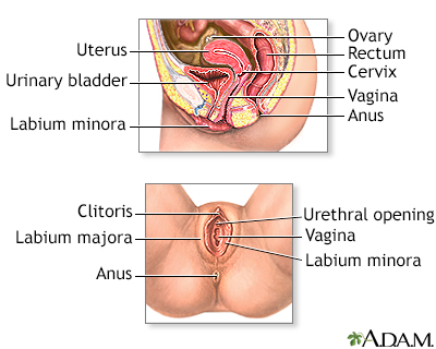 Alexis capri facial